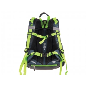 RANAC PULSE ANATOMIC JURASSIC REX