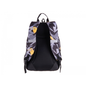 RANAC PULSE COTS FLASH 122092